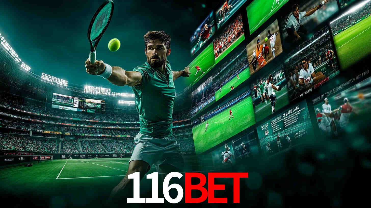 Programa VIP 116Bet